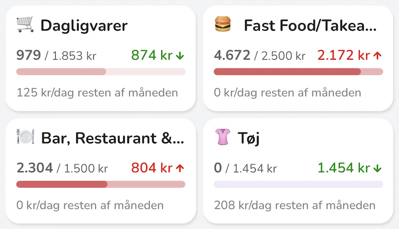 Bliss-appen: udvalgte kategorier med forbrug, budget og kr. pr. dag resten af måneden